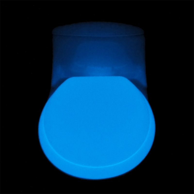BLUE GLOW TOILET SEAT Glow In The Dark Pty Ltd