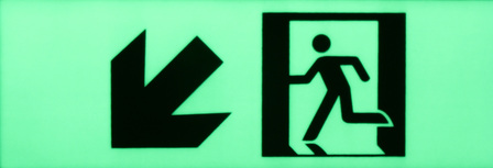 Exit sign diagonal arrow down left 300mm x 100mm