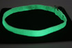 Glow dog collars small & xsmall